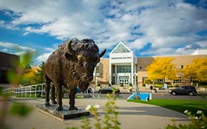 Bronze Buffalo statue in front of the Center for the Arts with fall foliage. 