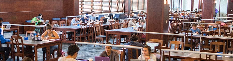 Students studying in newly renovated Silverman Library in Capen Hall. 