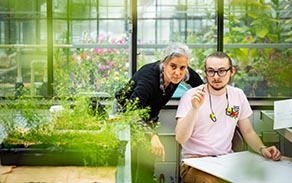 Students and professor in a drawing course in the greenhouses next to Dorsheimer Laboratory on the North Campus. 