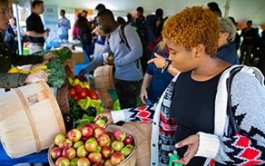 Student choosing an apple out of a basket. 