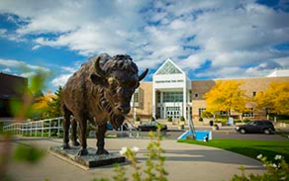 Undergraduate Education - University At Buffalo